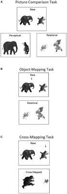autism reasoning frontiersin task mapping